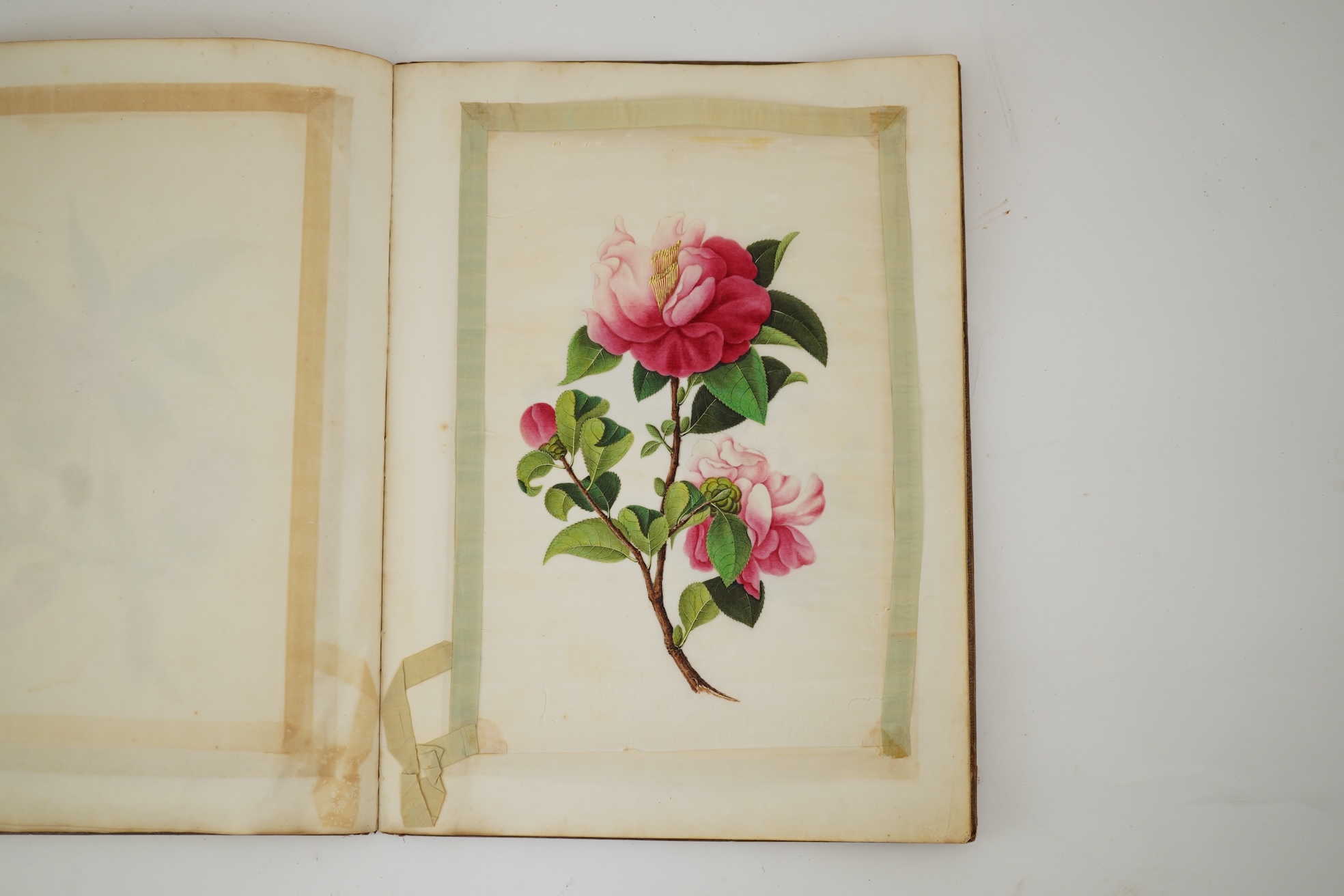 Chinese Guangzhou School , (mid 19th century), Album of 22 watercolours on pith paper and a pencil drawing on rice paper